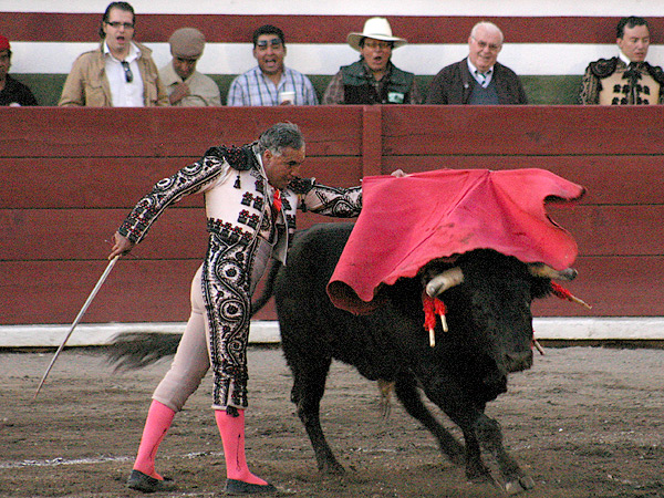 Sentido pase de pecho