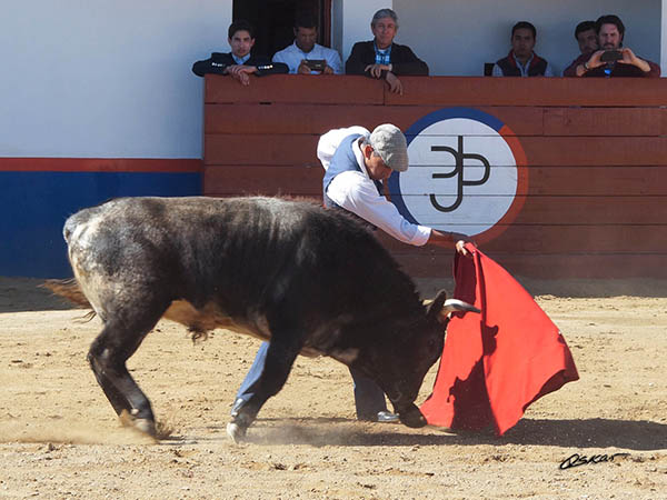 Ep�logo campero de Lalo