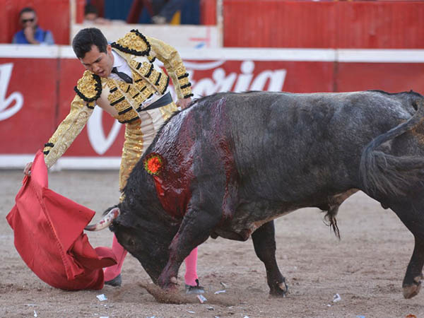 Tirando del c�rdeno