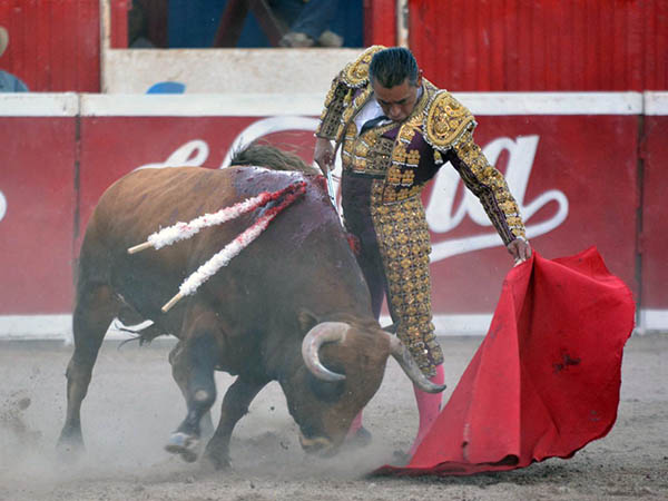 Mand�n con el colorado