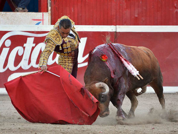 Llev�ndolo toreado