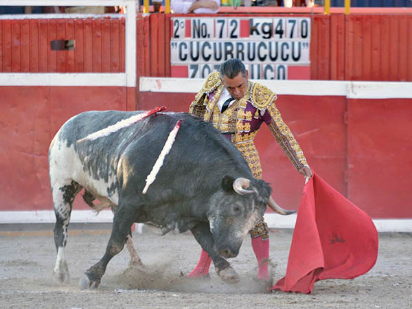 La fijeza del berrendo
