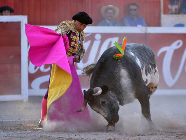 Ense��ndole a embestir