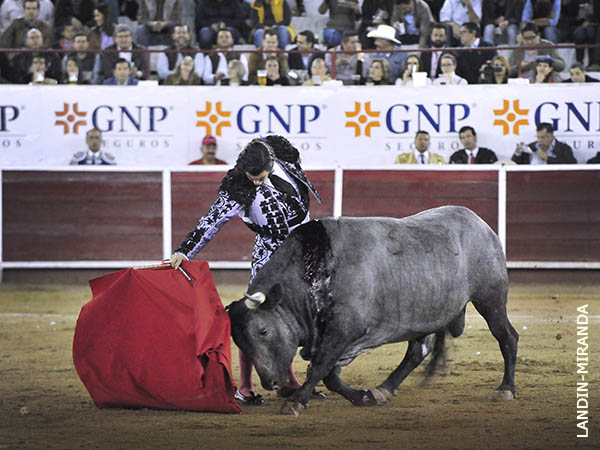 Muletazos de m�rito