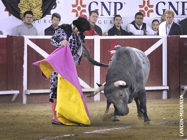 Destellos de arte con el capote