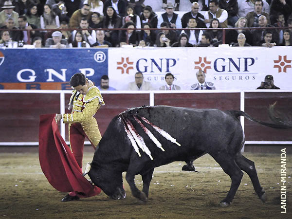 Abrochando la primera tanda