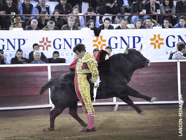 R�brica de manoletinas