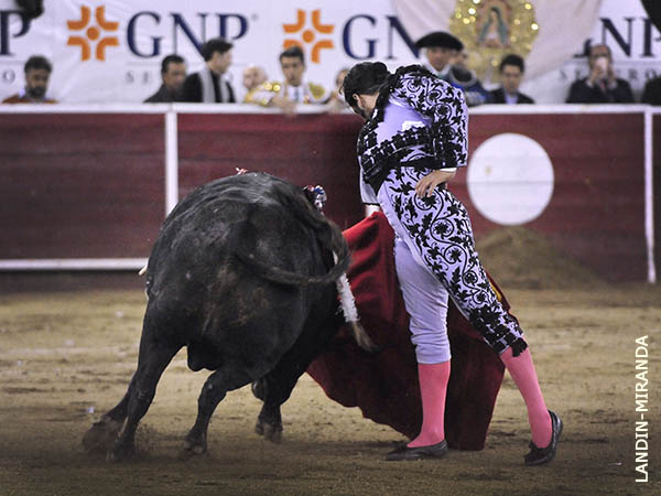 Instantes de artista