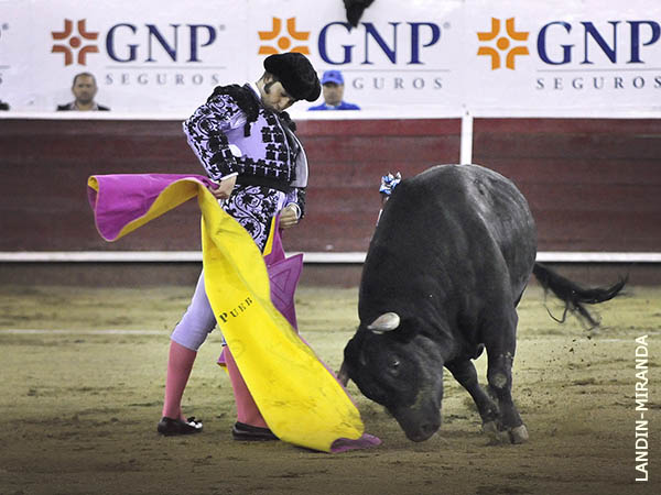 Media con sello de Morante