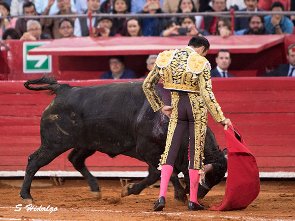 Enloqueci� la afici�n