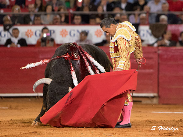 Siempre peleando su sitio