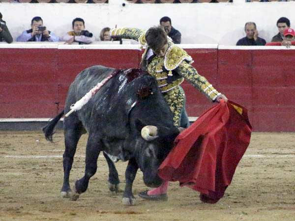 Suave pit�n izquierdo