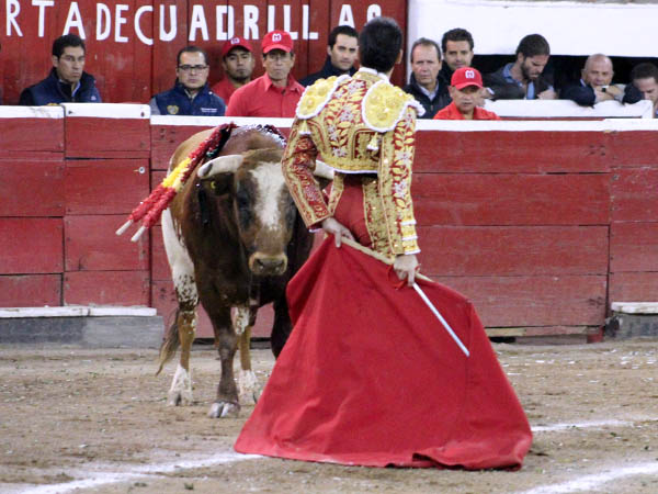 Calibrando al berrendo