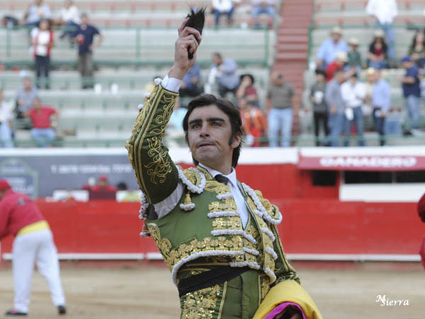 Solitaria oreja a Perera