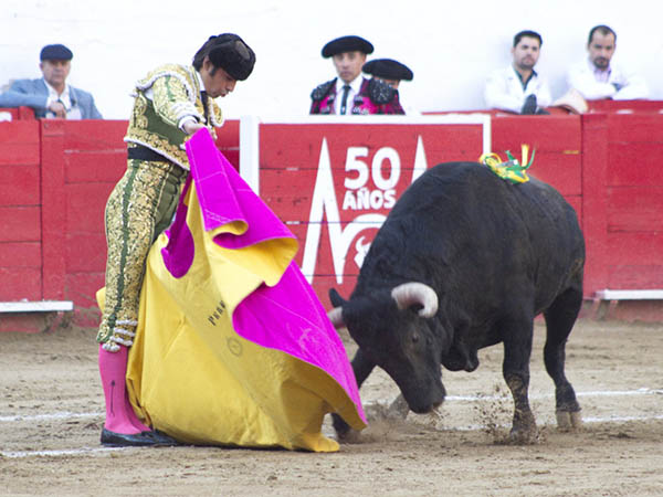 Miguel �ngel, a la ver�nica