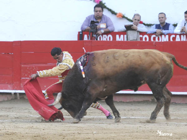 Frente al burladero de Rafa