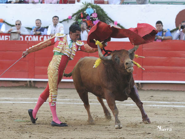 Abrochando la primer tanda