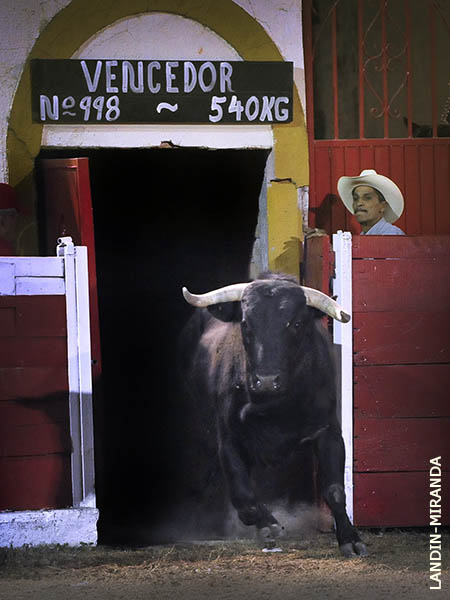 Salta el sexto a la arena