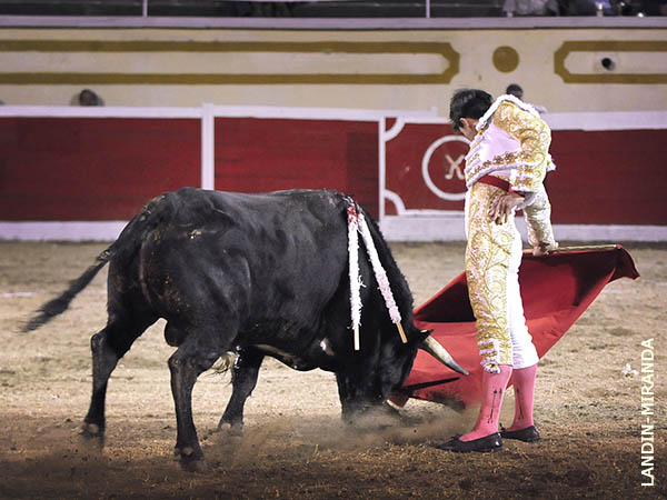 Llev�ndolo toreado