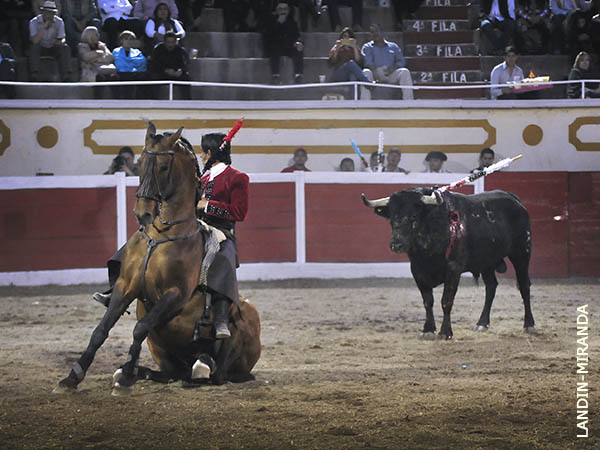 Valientes, jaca y jinete