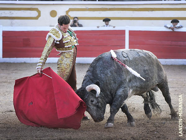 Tirando del c�rdeno