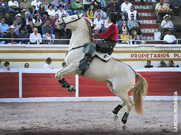 Piruetas del palomino