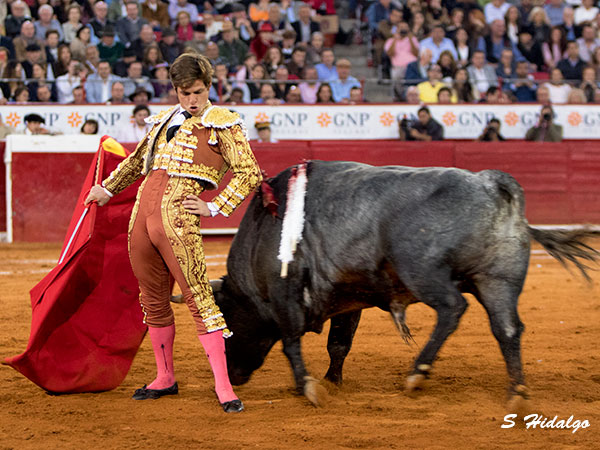 Con el �mpetu de un novillero