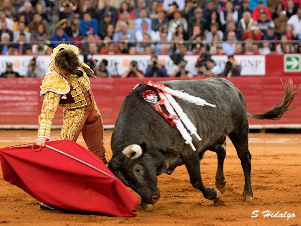 Dando la lidia exacta