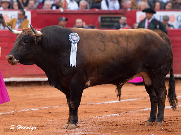 El cuarto de la tarde