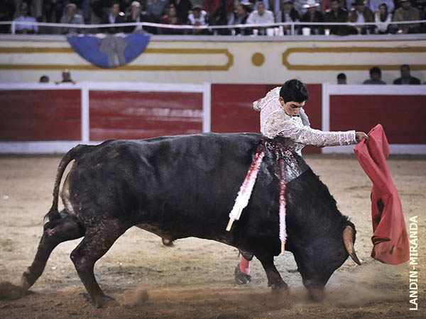 Digno y solvente en su lote