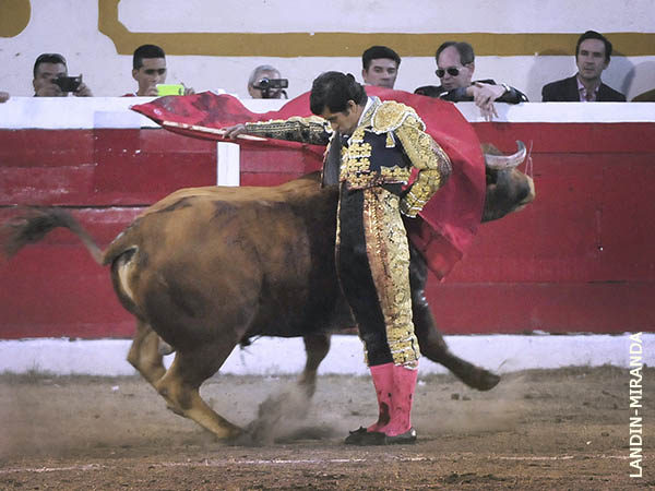 Verticalidad en las bernadinas