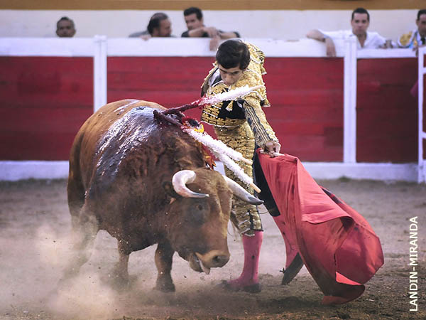 Desde aqu�, hasta all�...