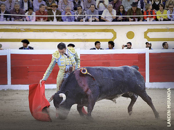 Disfrutando cada pase