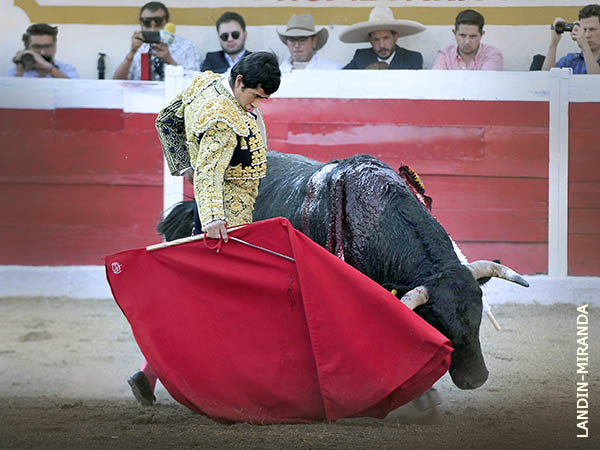 Muletazo de vuelta entera