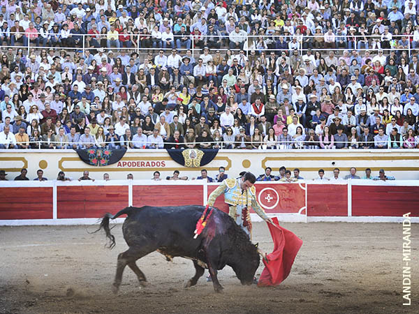 Llenazo hasta las banderas