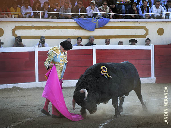 Expectaci�n por ver a la figura