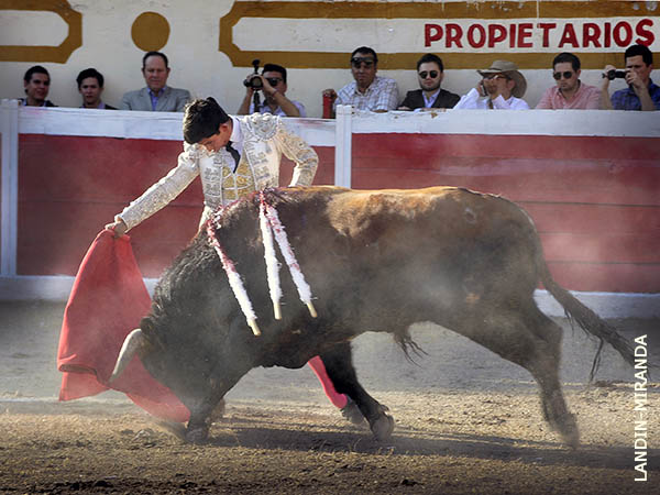 Nuevo matador de toros