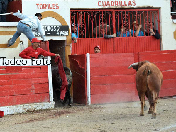 De regreso a las corraletas