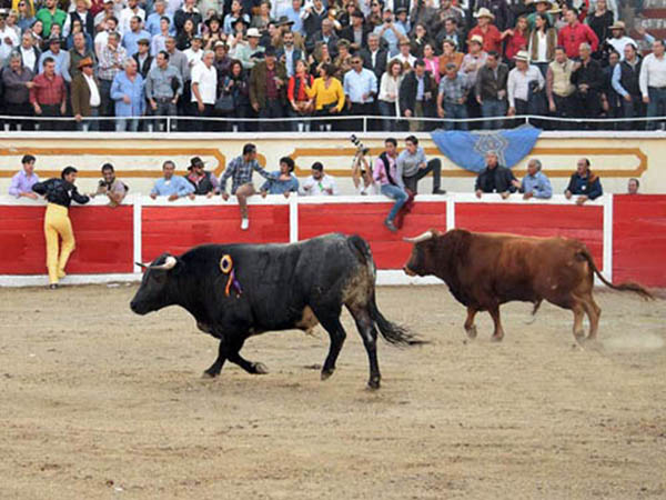 La plaza se puso de cabeza