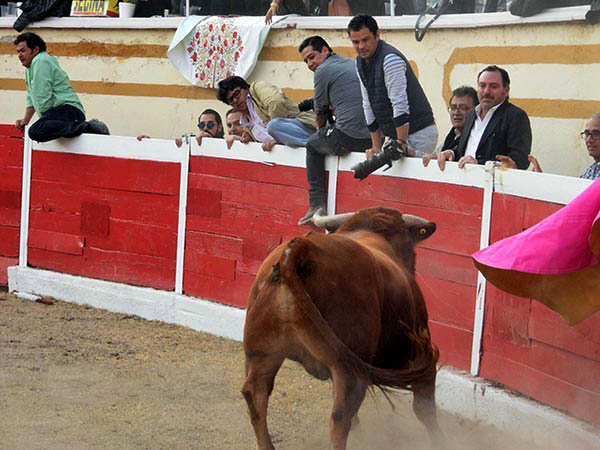 Por fin le dieron la salida