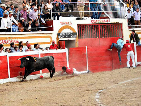Saltos hacia afuera y hacia adentro