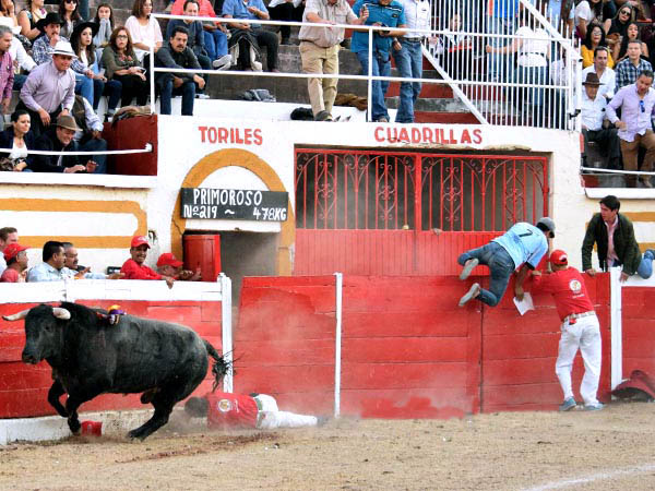 Oportuno quite desde el burladero