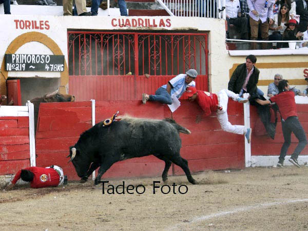 A merced del c�rdeno