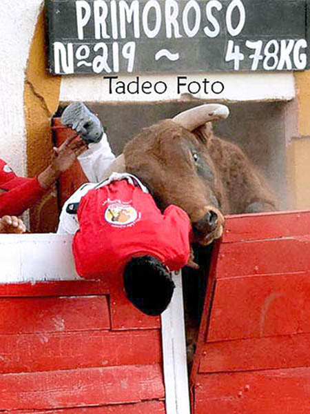 Ceb�ndose con el torilero