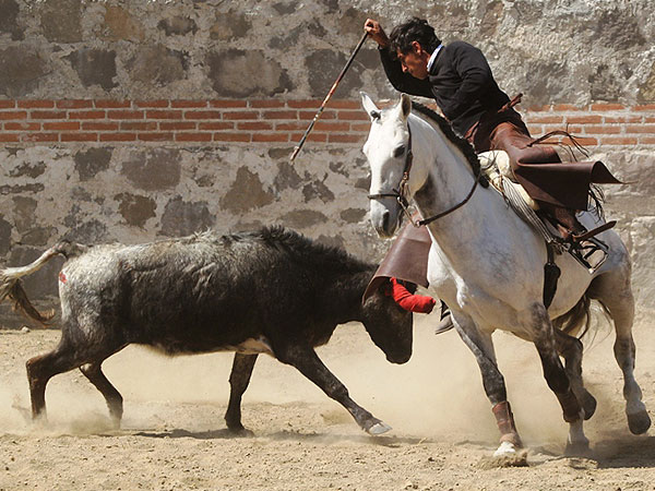 Dej�ndosela llegar