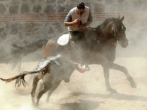 Louceiro torero cl�sico