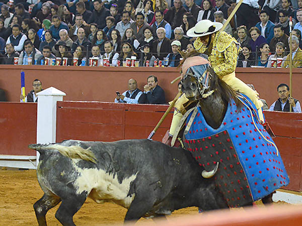 Metiendo los ri�ones