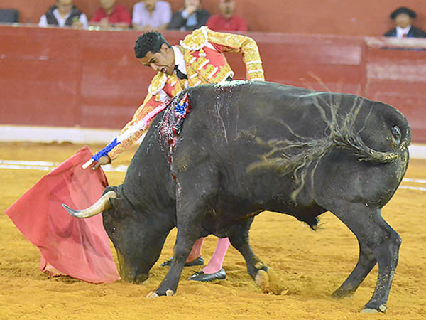 Acompa�ando con la voz