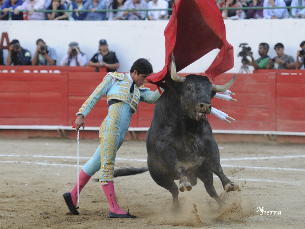 Todo el toro por delante