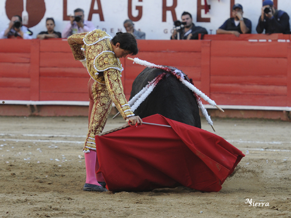 Sometiendo la embestida